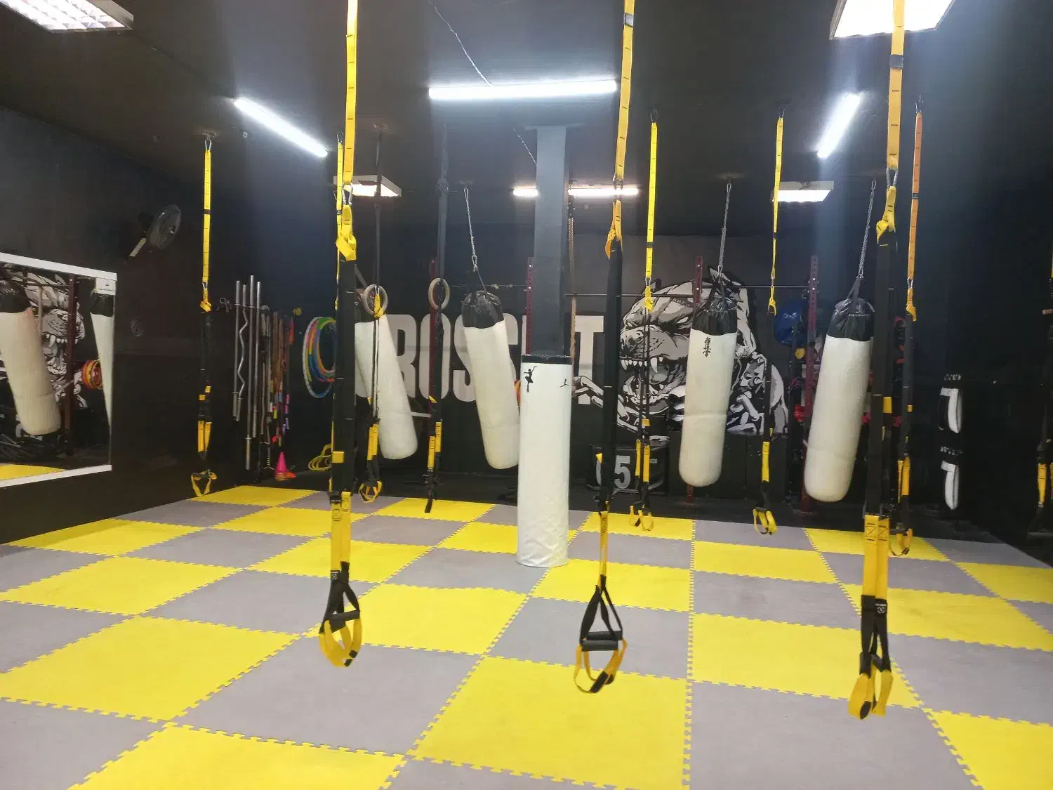 آفر ویژه کلاس های هوازی به مناسبت افتتاحیه|خدمات آموزشی|مشهد, دانشجو|دیوار