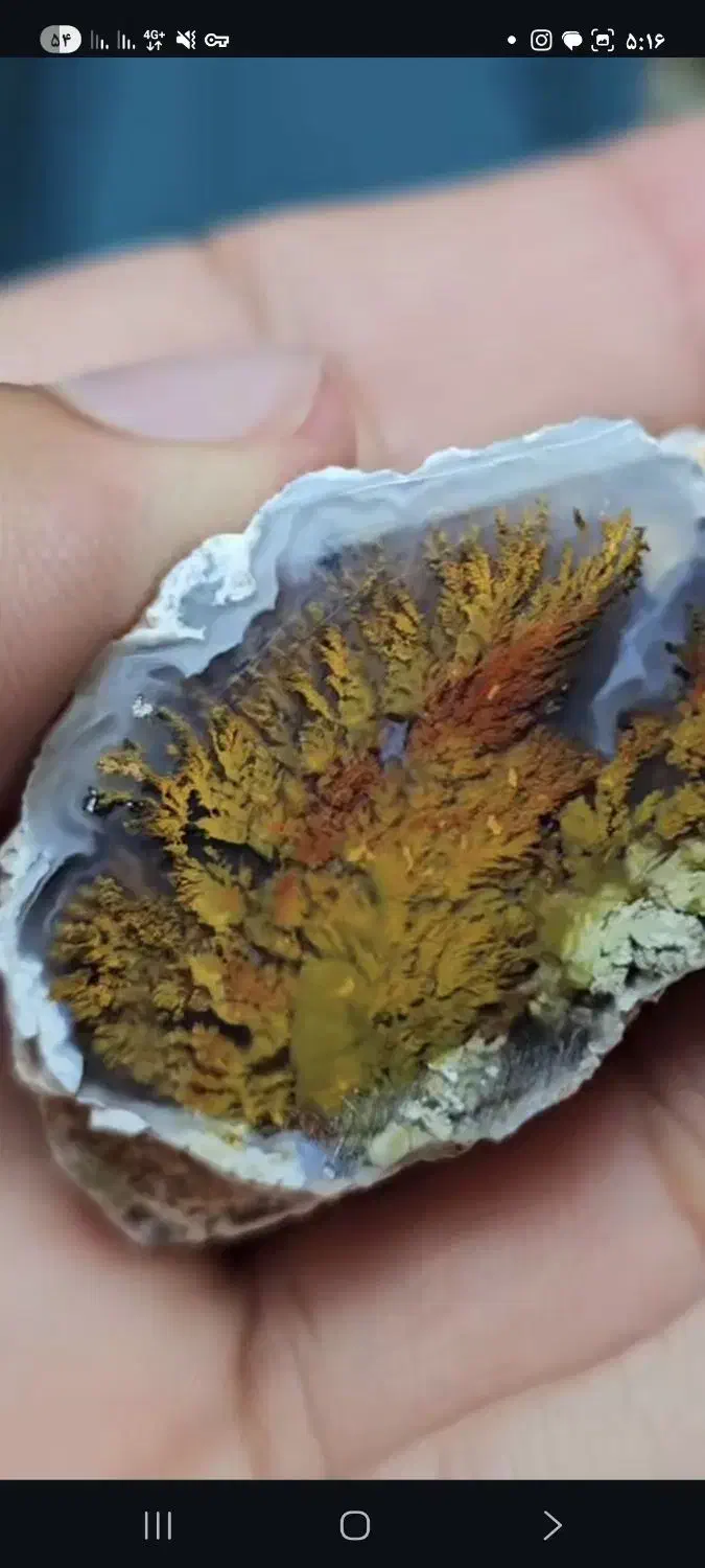 سنگ شجر بهار|جواهرات|لنجان, |دیوار