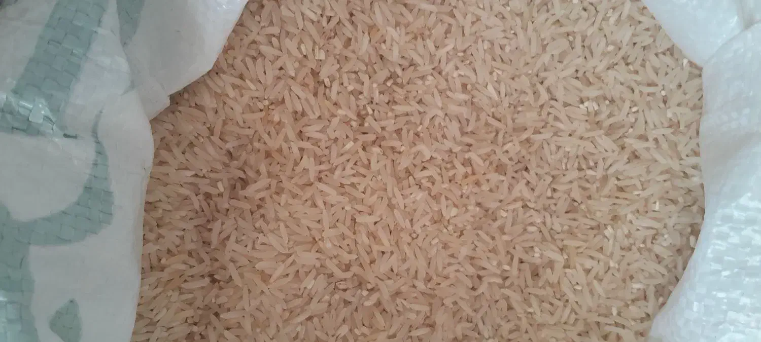 برنج سرلاشه فجر بهترین کیفیت|خوردنی و آشامیدنی|گالیکش, |دیوار