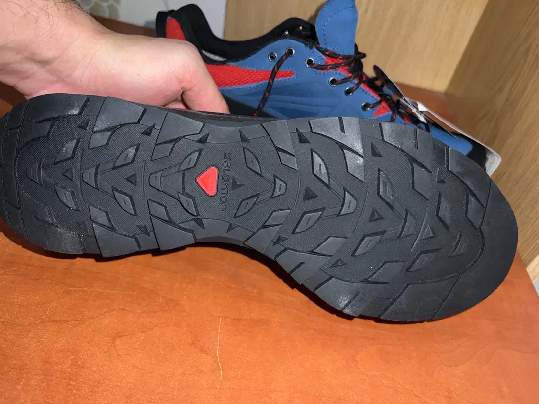 کتانی سالامون اورجینال کاملا نو|کیف، کفش، کمربند|کرج, عظیمیه|دیوار