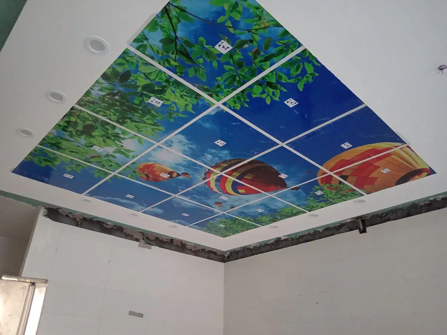 اجرای کناف، نورمخفی،بازدیدومشاوره رایگان|خدمات پیشه و مهارت|تربتحیدریه, آغوی|دیوار