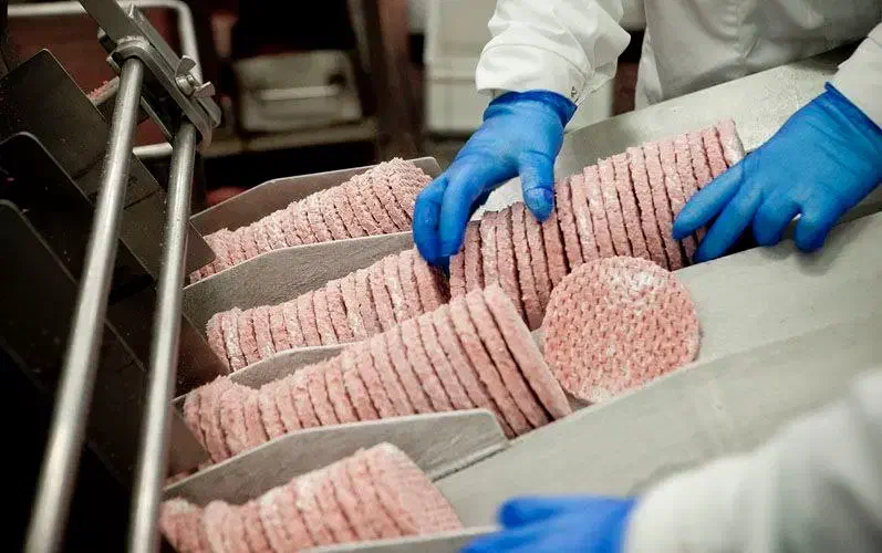 کارخانه همبرگر/راننده پایه ۳-۲/موزع/کارگرخانم آقا|استخدام حمل و نقل|قدس, شهر‌قدس|دیوار