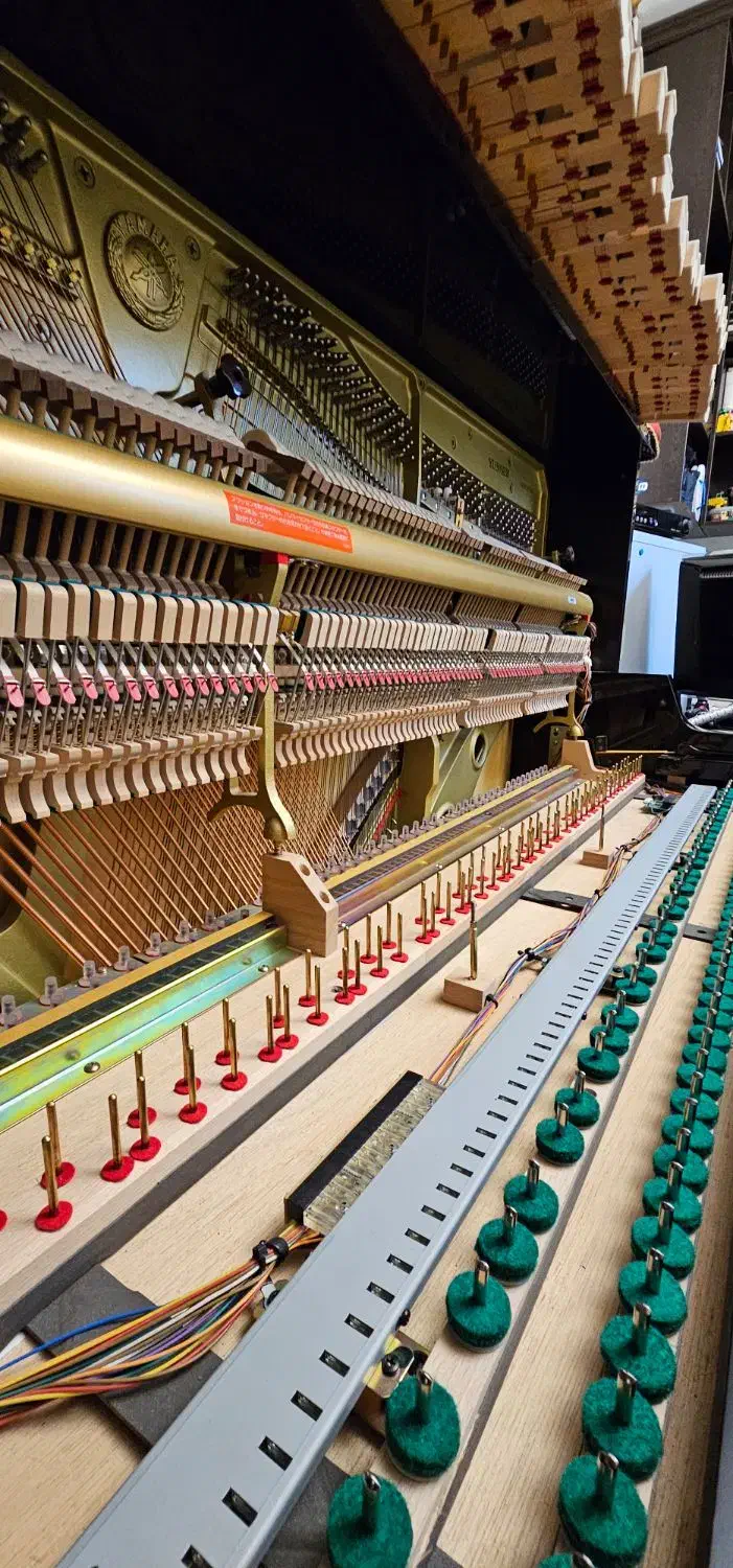 کوک و رگلاژ پیانو و کارشناسی و مشاوره در خرید|پیانو، کیبورد، آکاردئون|اصفهان, باغ زرشک|دیوار