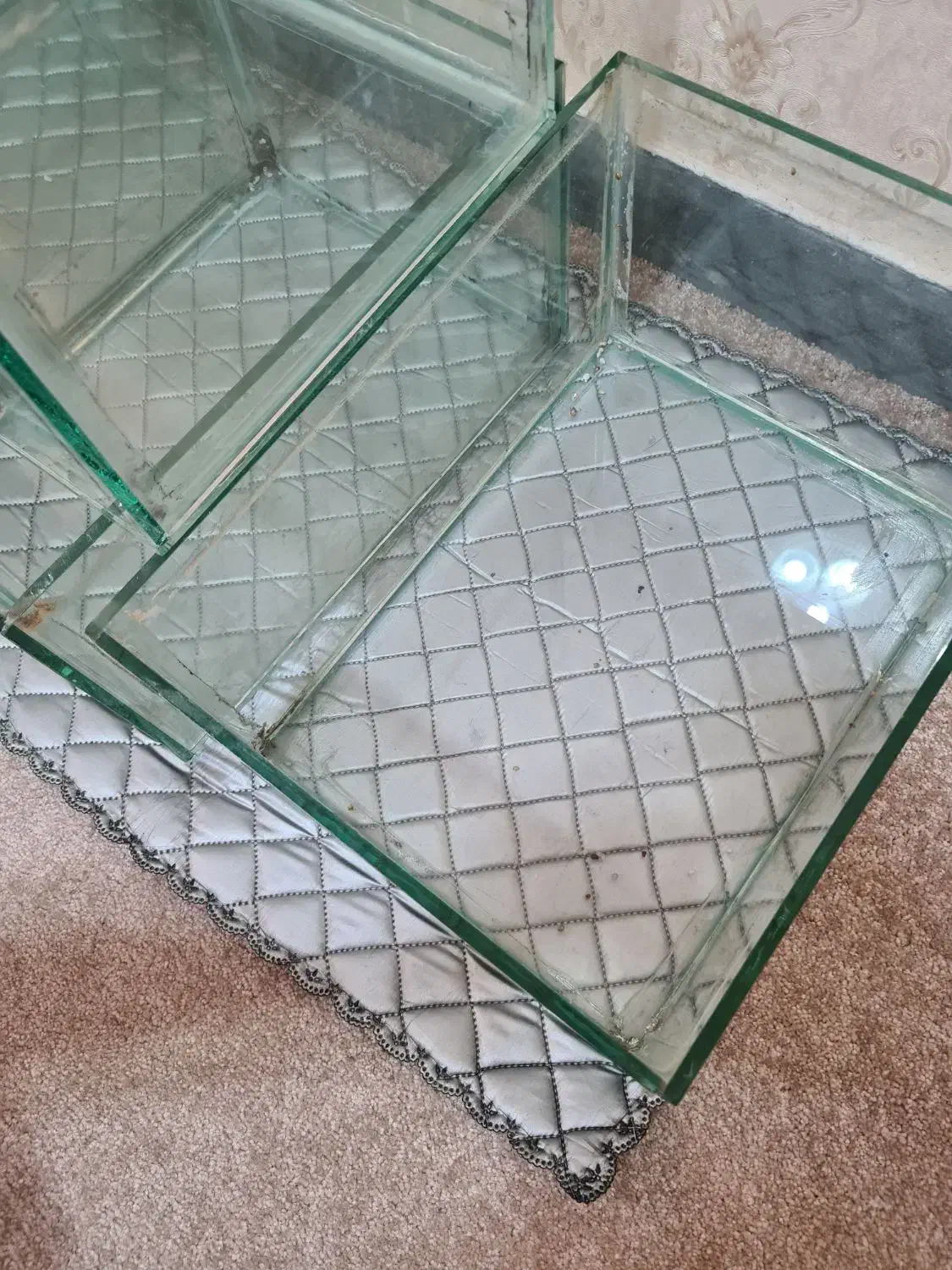 آکواریوم شیشهای|لوازم جانبی حیوانات|لاهیجان, کوی آزادگان|دیوار