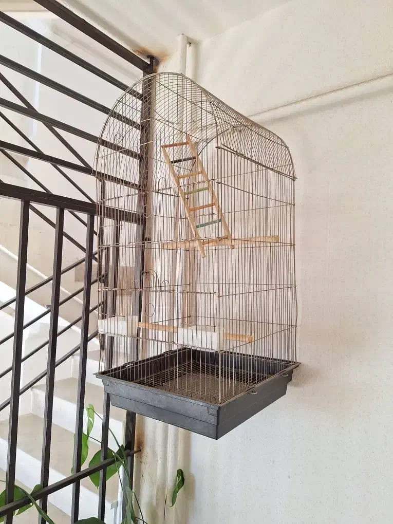 قفس پرنده|لوازم جانبی حیوانات|پردیس, فاز ۹|دیوار