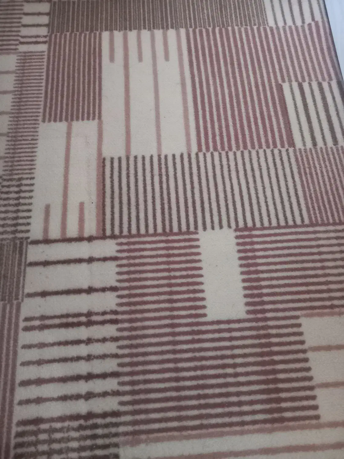 موکت|موکت|اردبیل, |دیوار