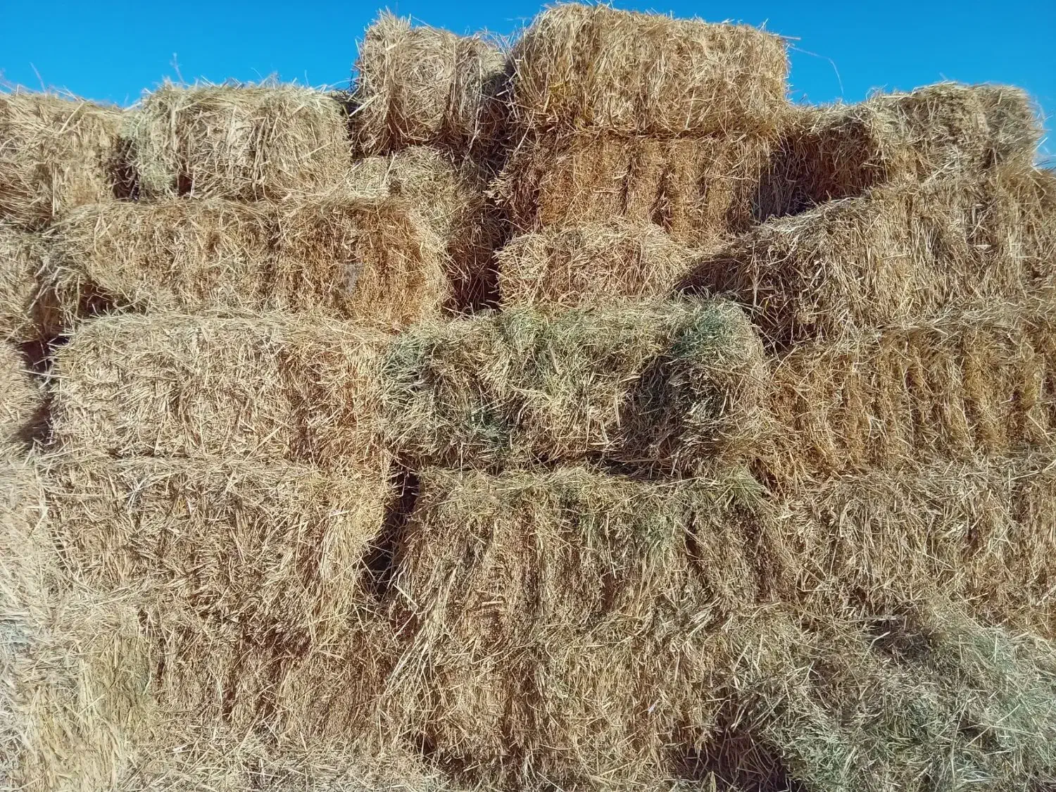 پرس کاه|عمده‌فروشی|مشهد, شهرک صنعتی توس|دیوار