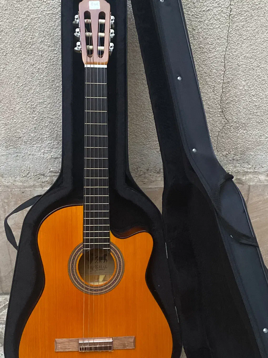 گیتار|گیتار، بیس، امپلیفایر|تهران, دولاب|دیوار