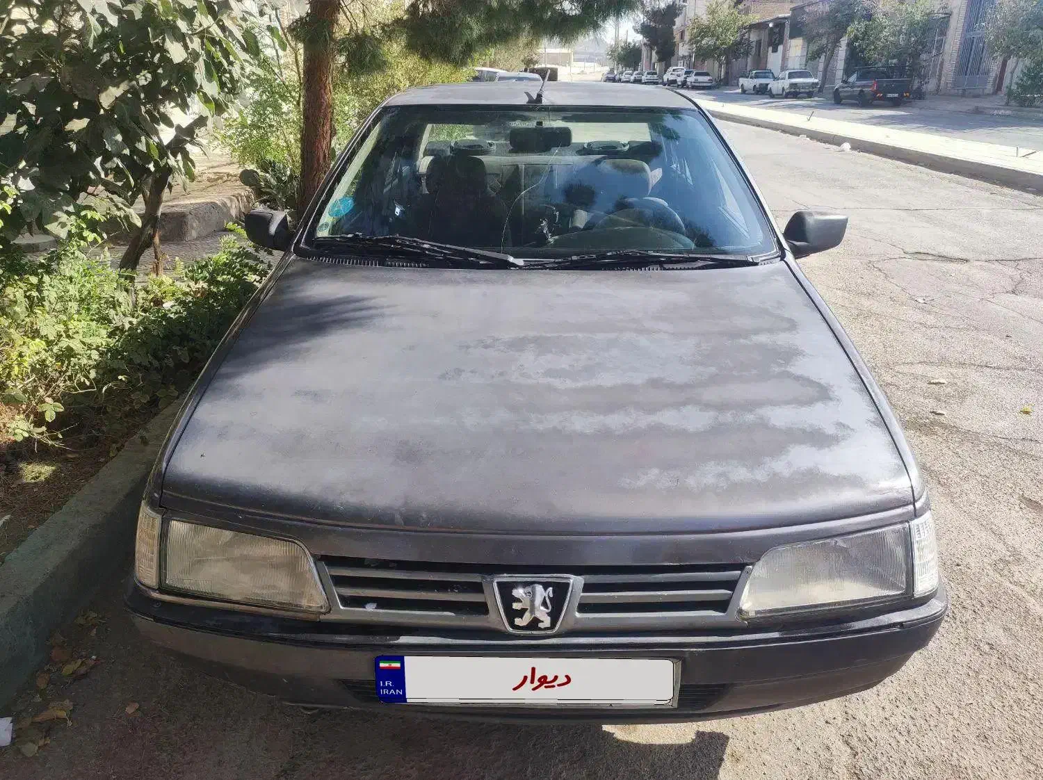 پژو روآ|خودرو سواری و وانت|اصفهان, ارغوانیه|دیوار