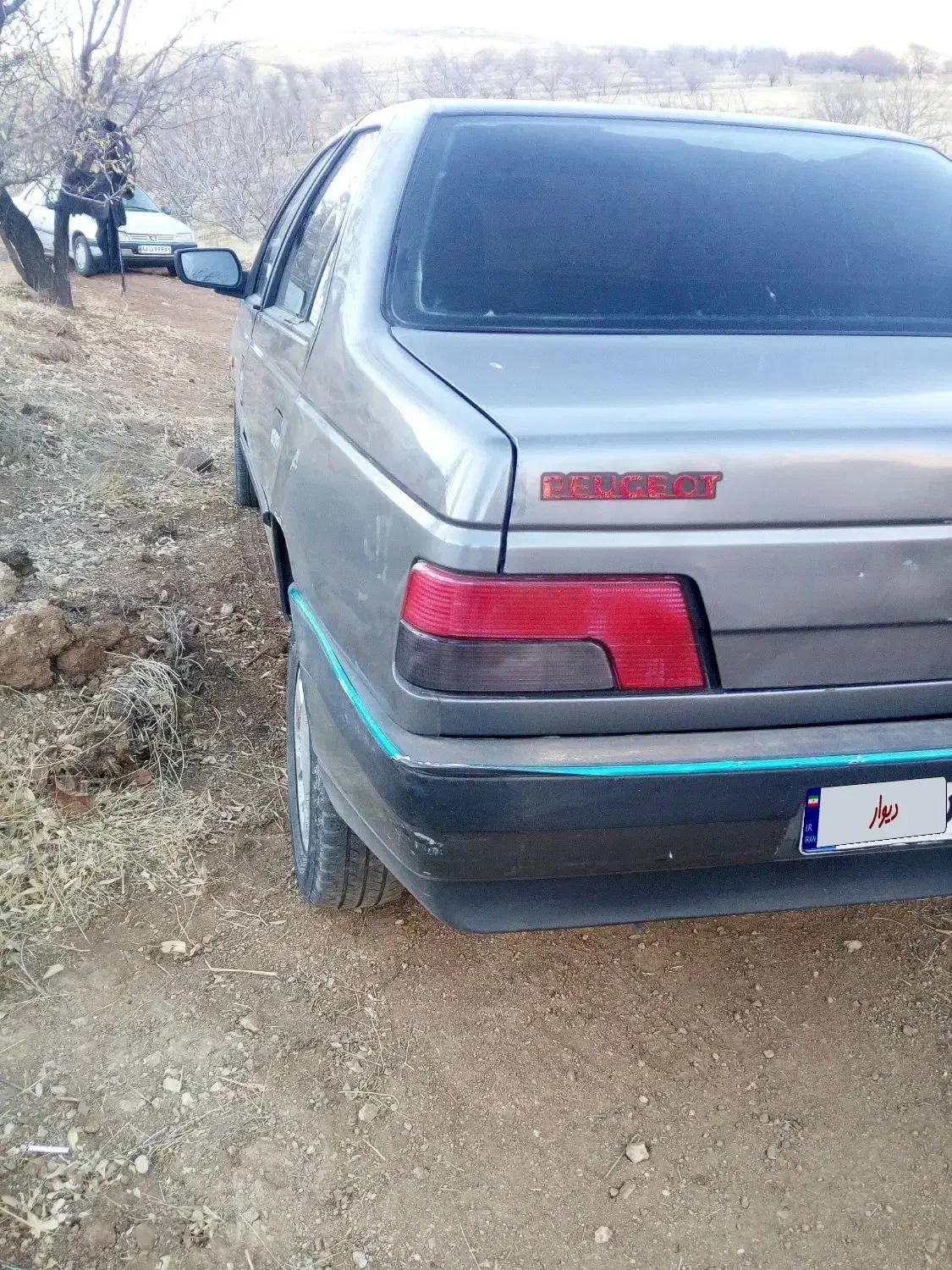 پژو|خودرو سواری و وانت|سنندج, |دیوار