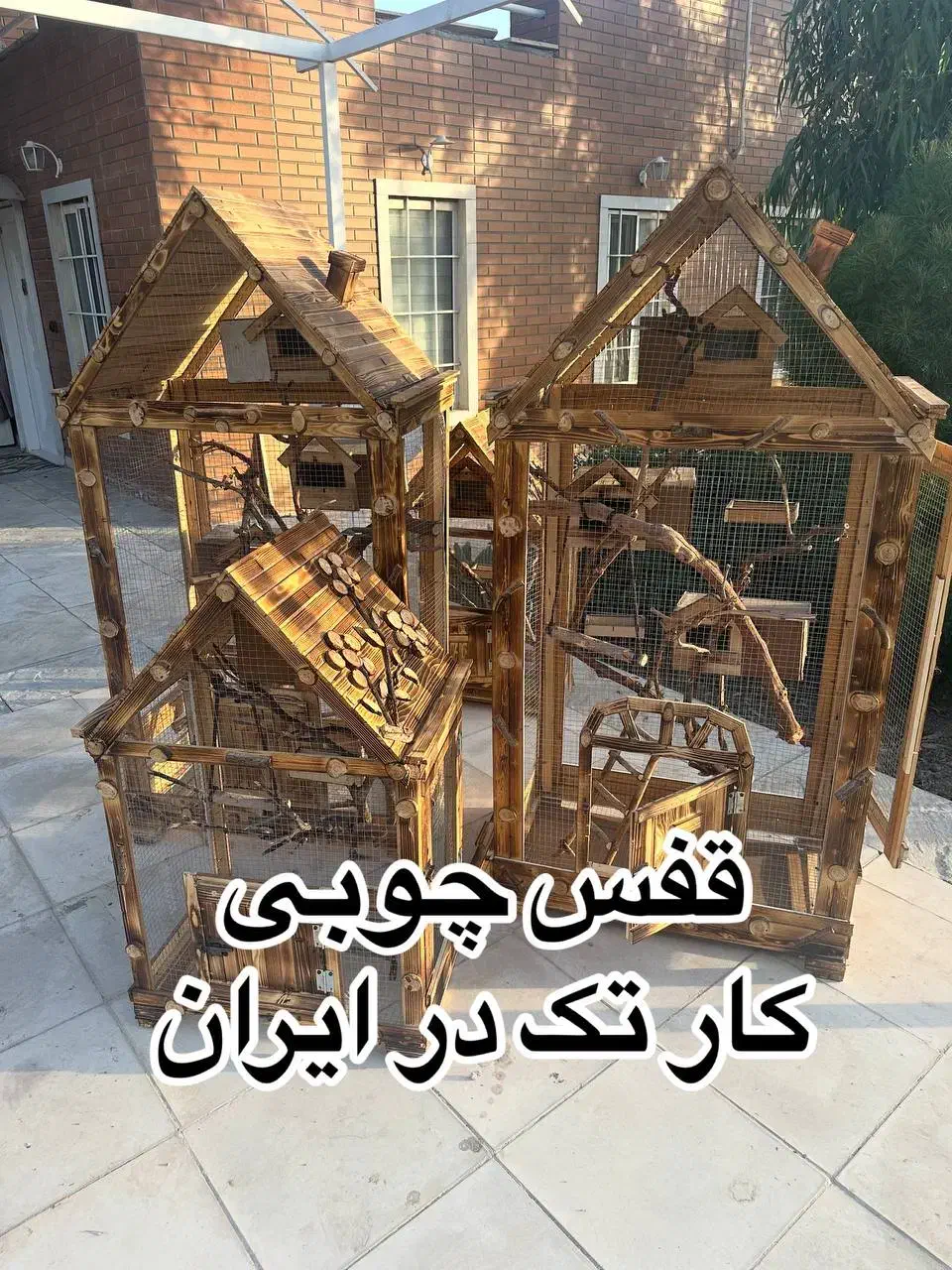 تولید قفس های چوبی پرندگان|لوازم جانبی حیوانات|ماهدشت, |دیوار
