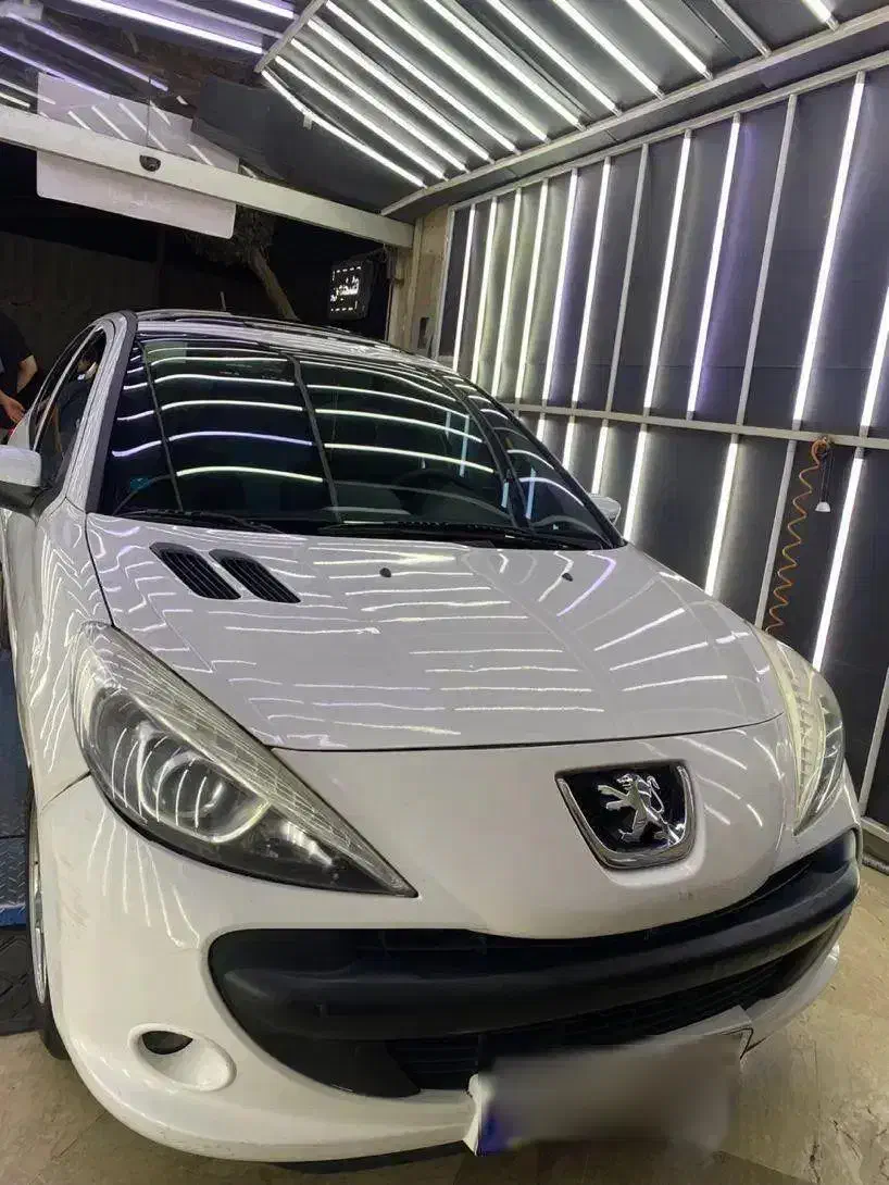 ۲۰۷پانا|خودرو سواری و وانت|تهران, تهرانپارس شرقی|دیوار