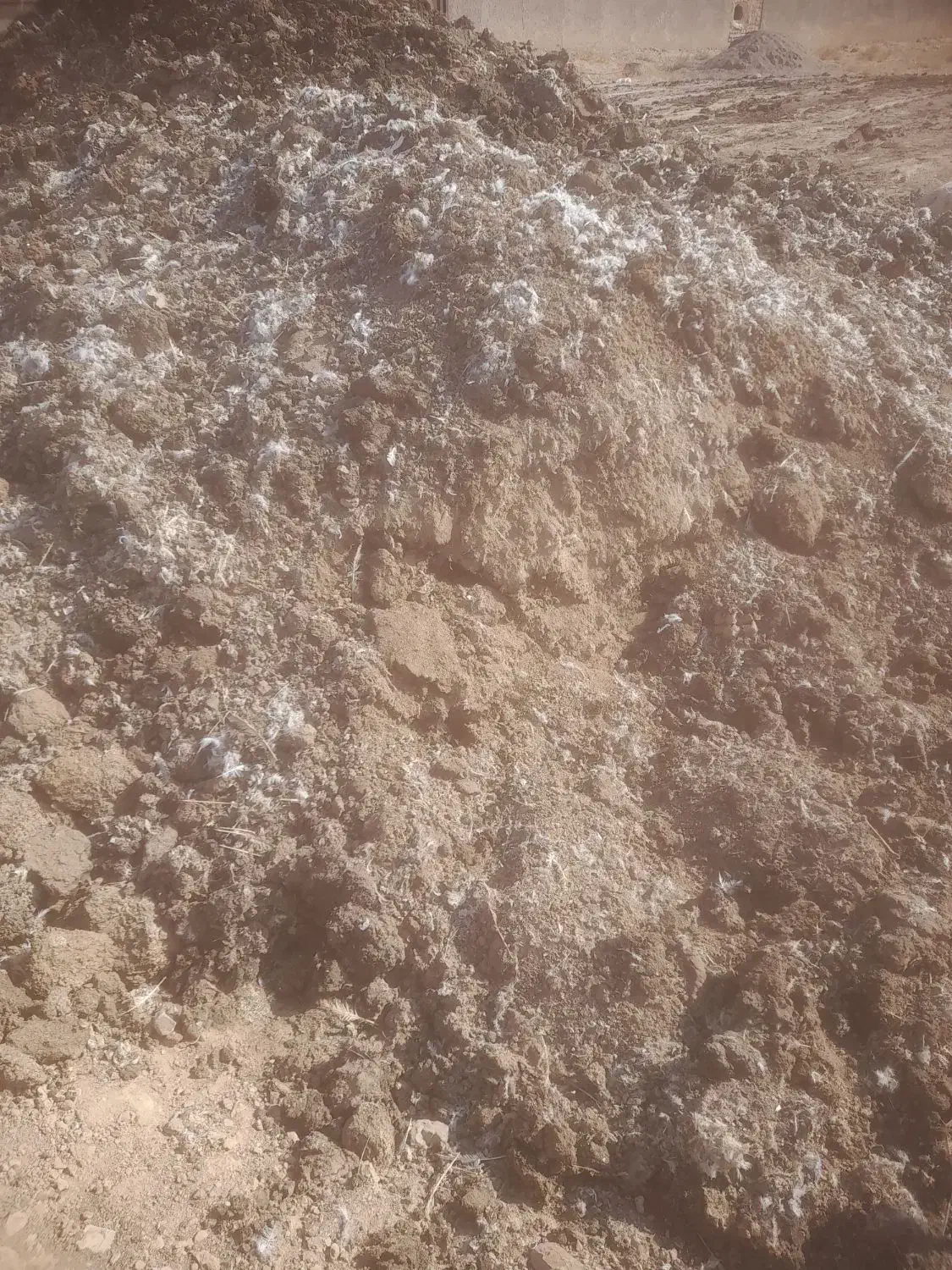 کود مرغی قفسی|خدمات باغبانی و درختکاری|تایباد, |دیوار