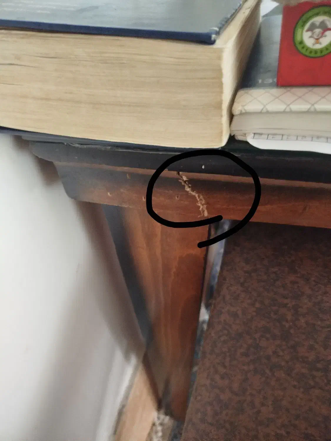 میزوصندلی|میز و صندلی غذاخوری|تربتحیدریه, بالا ولایت|دیوار