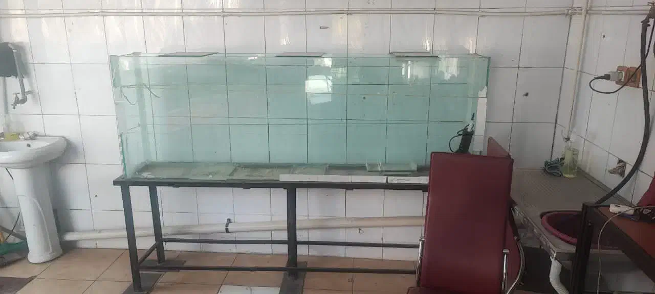 آکواریوم وپایه|ماهی|کرمانشاه, |دیوار