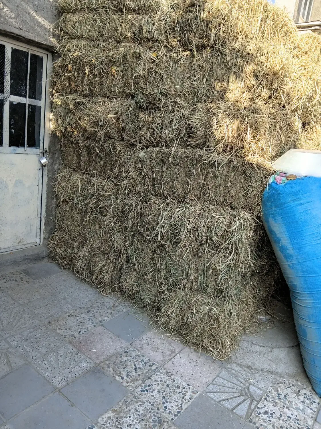 پرس برنج|لوازم جانبی حیوانات|بروجرد, |دیوار