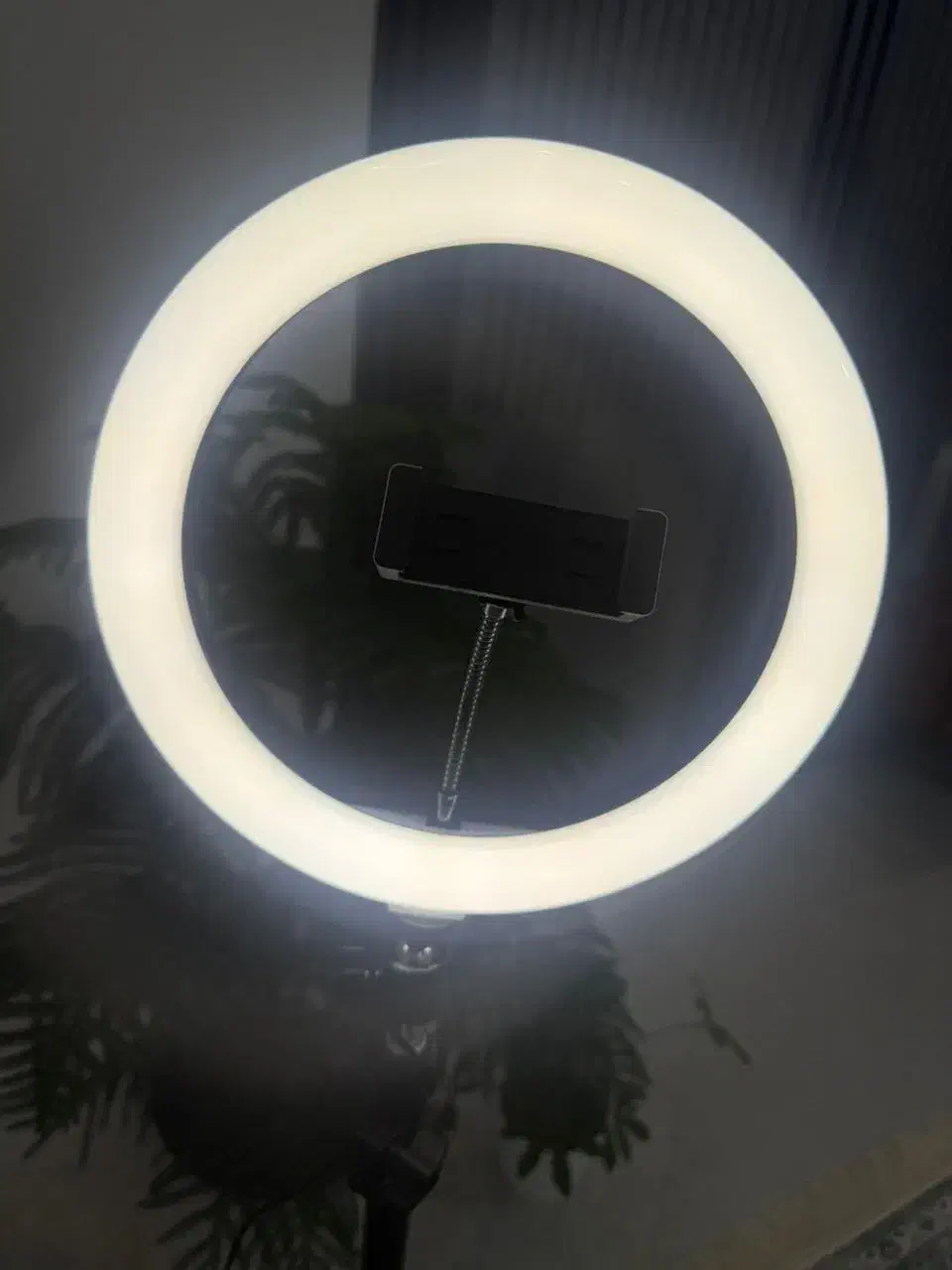 رینگ لایت|دوربین عکاسی و فیلم‌برداری|تهران, فلسطین (میدان انقلاب)|دیوار