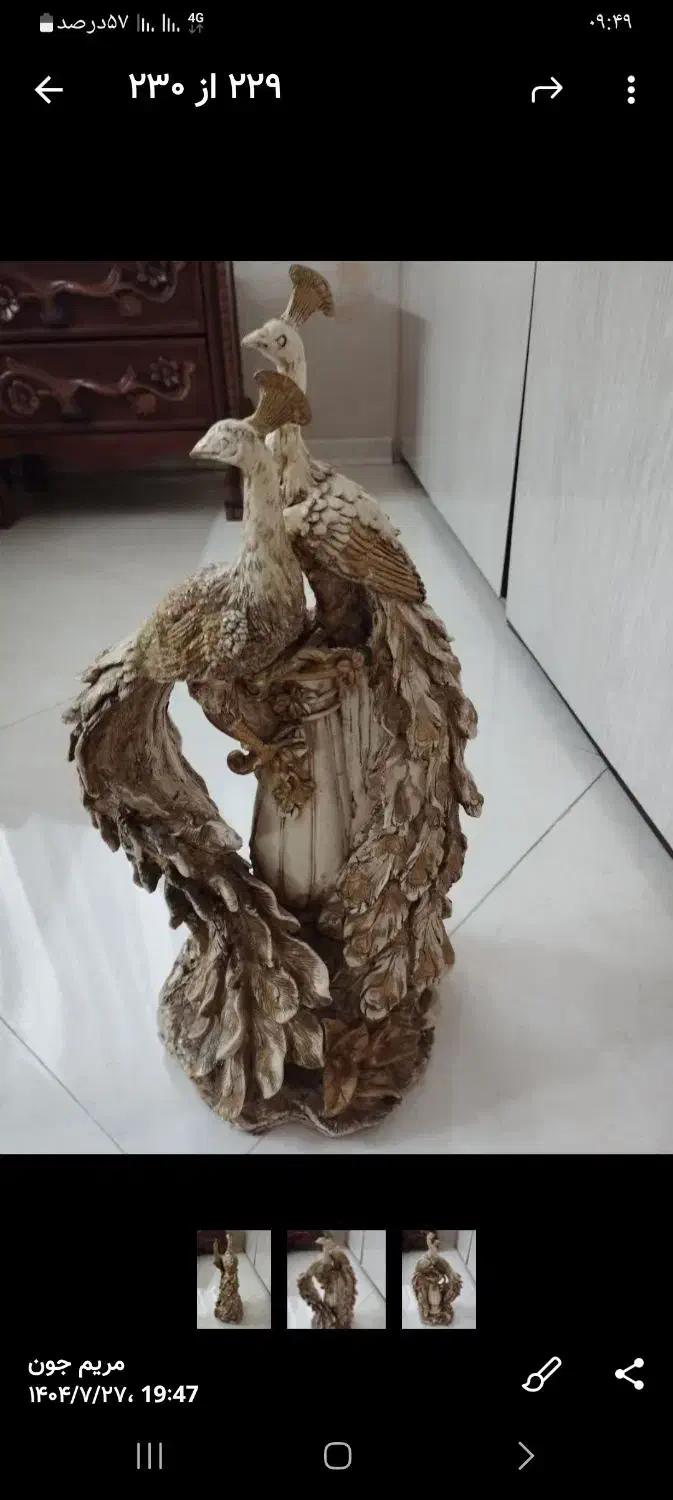 مجسمه طاووس|مجسمه، تندیس، ماکت|مشهد, دانشجو|دیوار