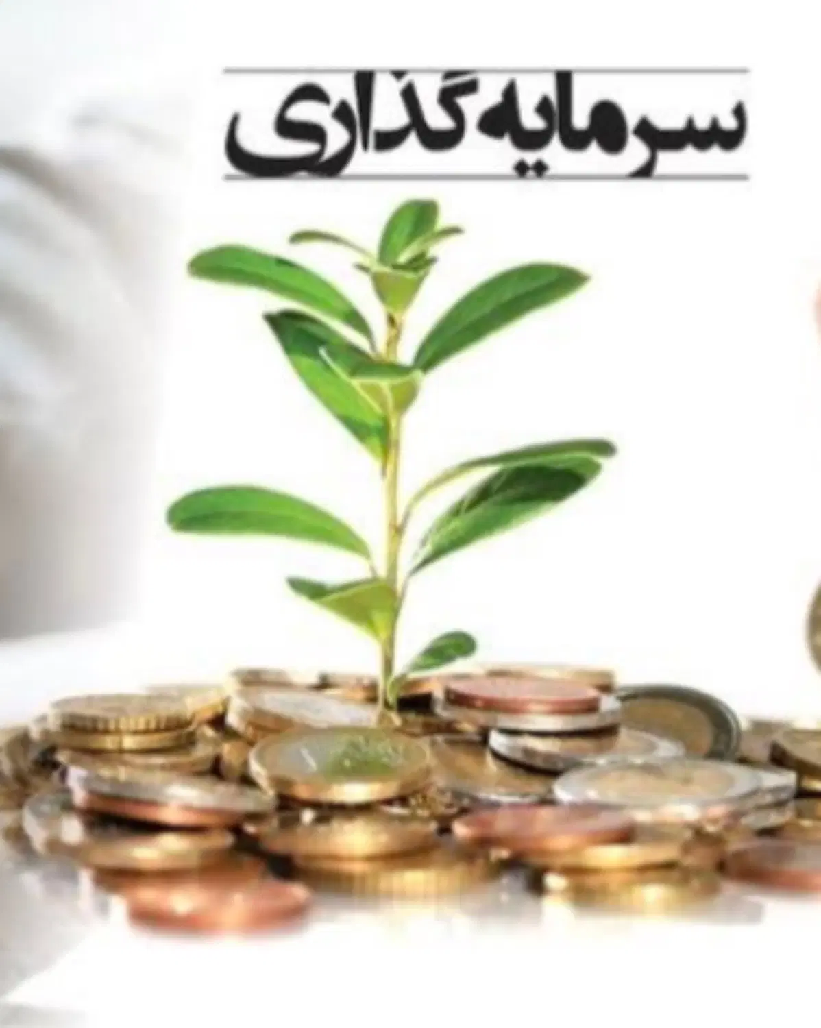 سرمایه گذار یراق آلات|استخدام مالی، حسابداری، حقوقی|تهران, تهرانسر شرقی|دیوار