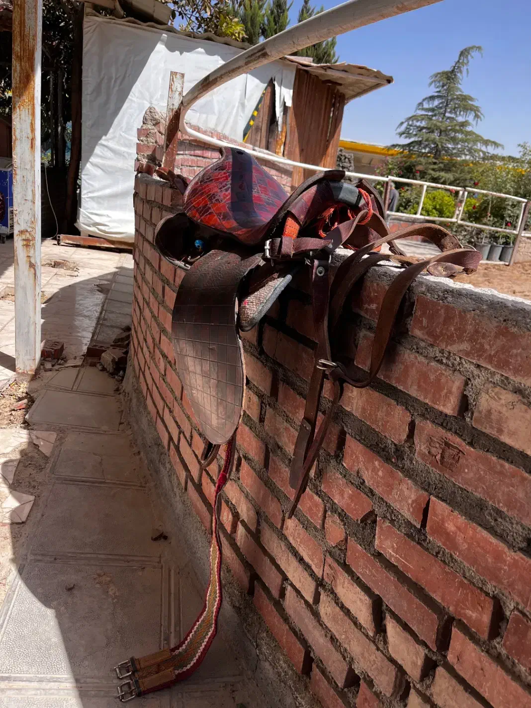 زین  نو و زیبا|اسب و تجهیزات اسب‌سواری|شهریار, اسکمان|دیوار