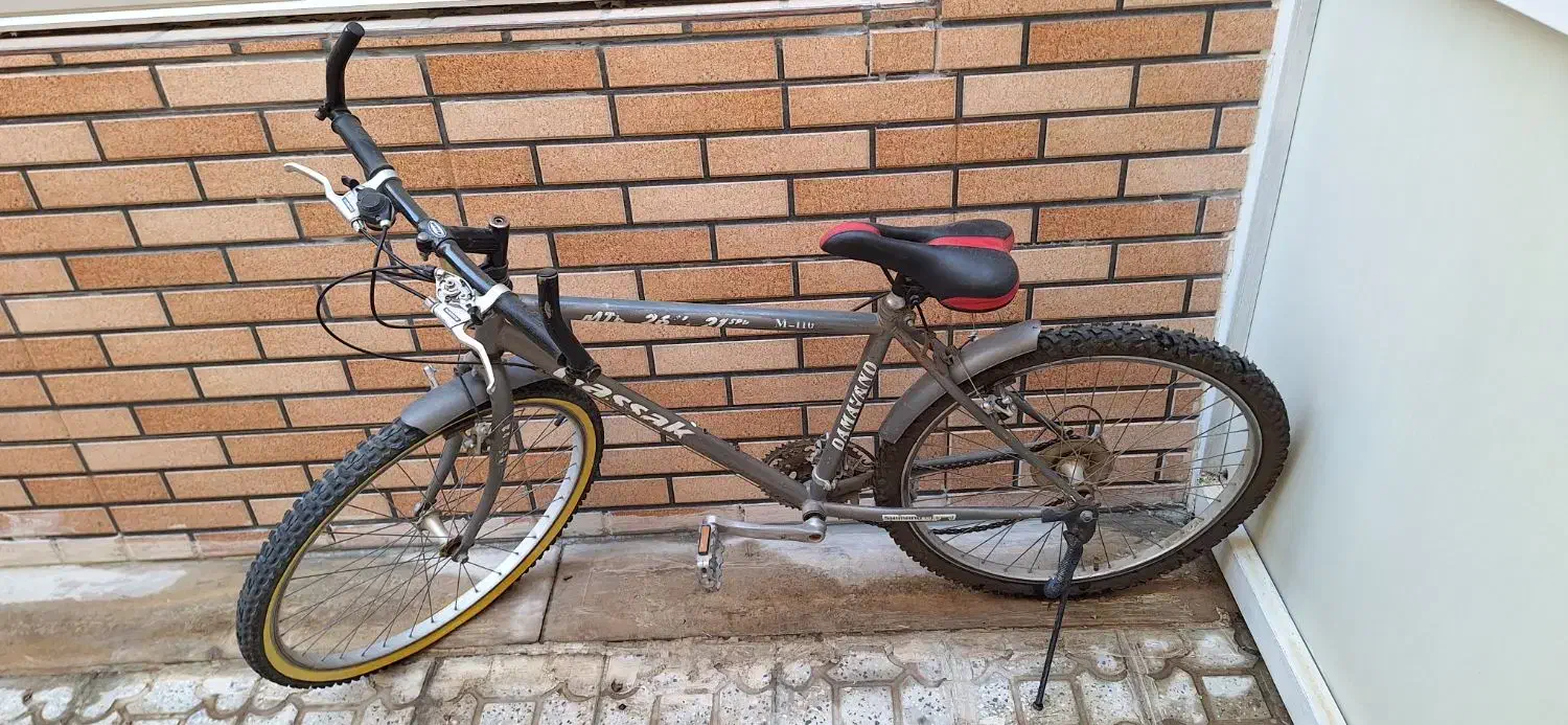 دوچرخه|دوچرخه، اسکیت، اسکوتر|اصفهان, باغ زیار|دیوار