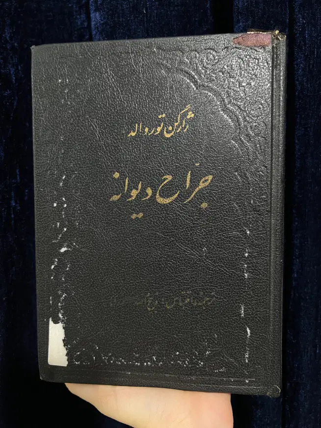 کتاب سفرنامه ماژلان،جراح دیوانه ذبیح الله منصور|کتاب و مجله ادبی|تهران, بریانک|دیوار
