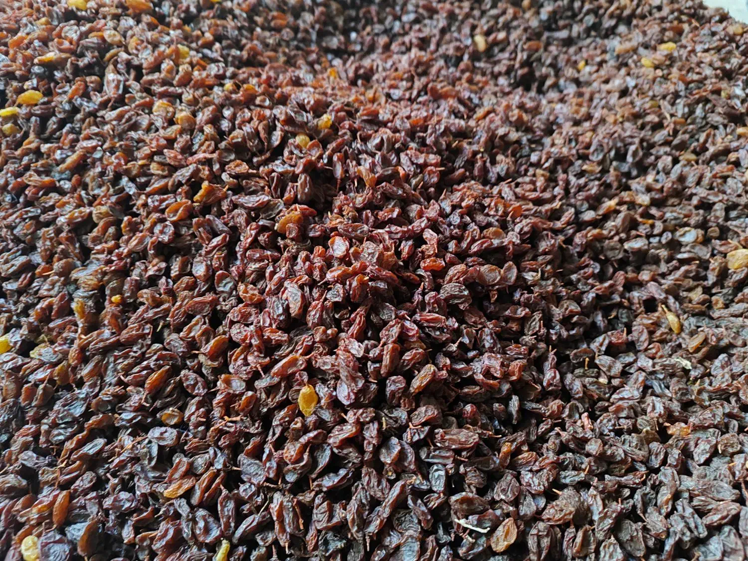 کشمش ارگانیک|خوردنی و آشامیدنی|کرمانشاه, |دیوار