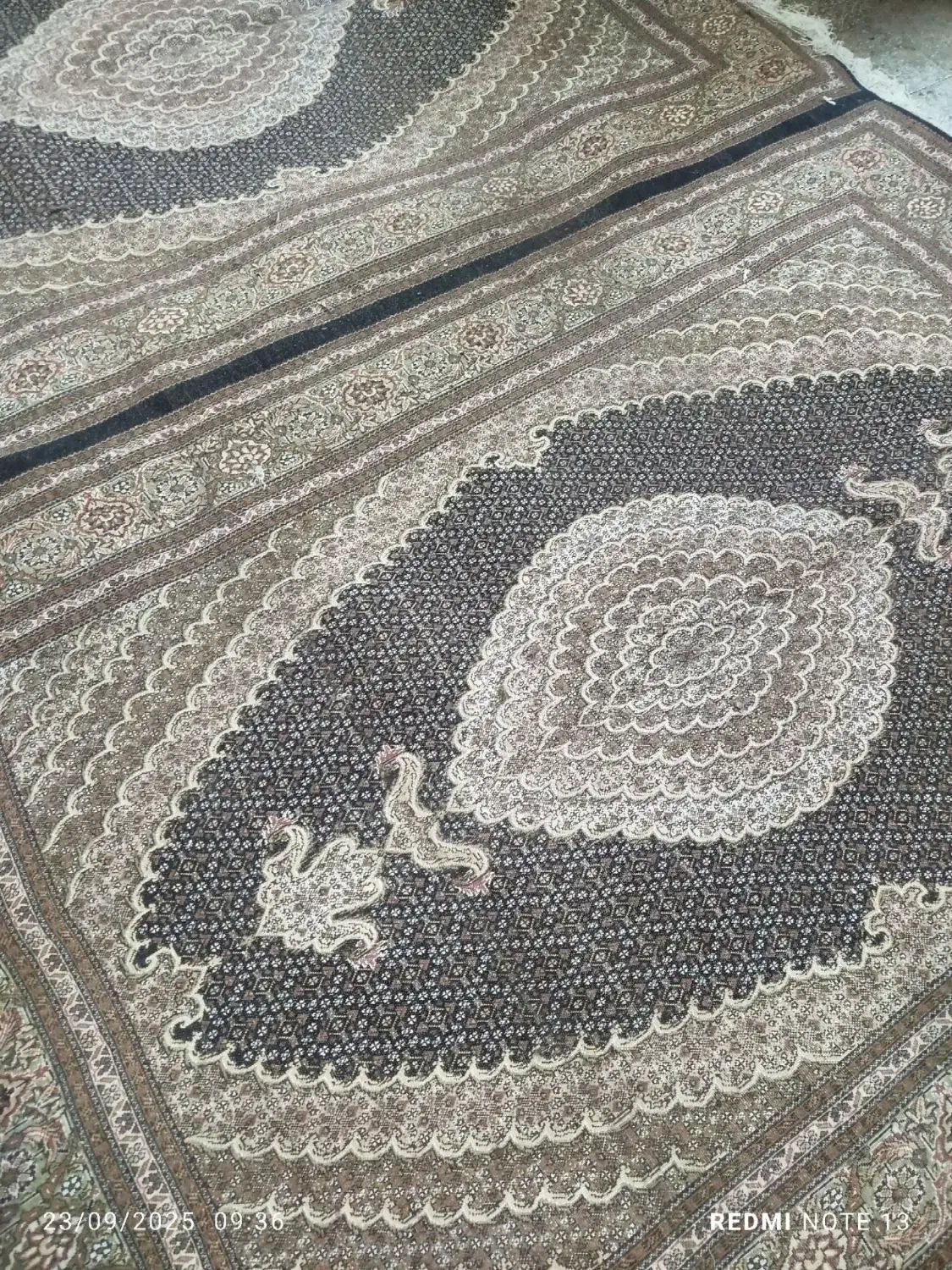 ۱۳ متن فرش افسری رنگ نونو هنوز پرداخت نشده|فرش|آستارا, |دیوار