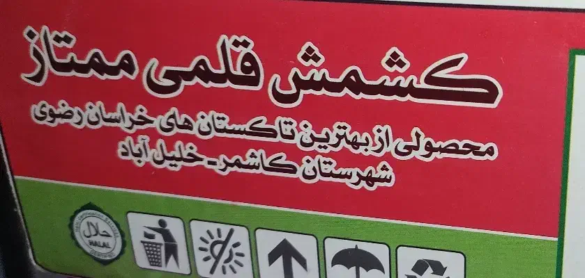 کشمش قلمی سبز کاشمر عمده|خوردنی و آشامیدنی|قم, شاه ابراهیم|دیوار