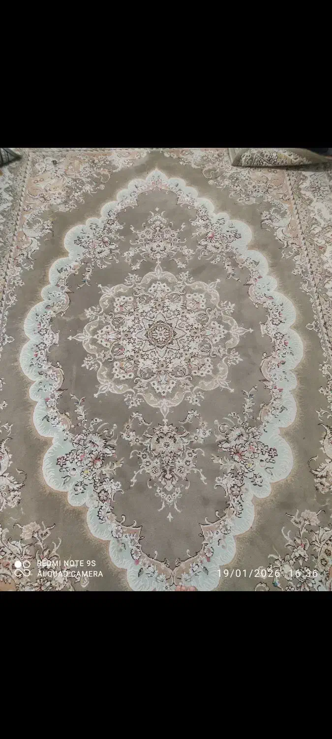 فرش ۶ متری|فرش|کرمانشاه, |دیوار