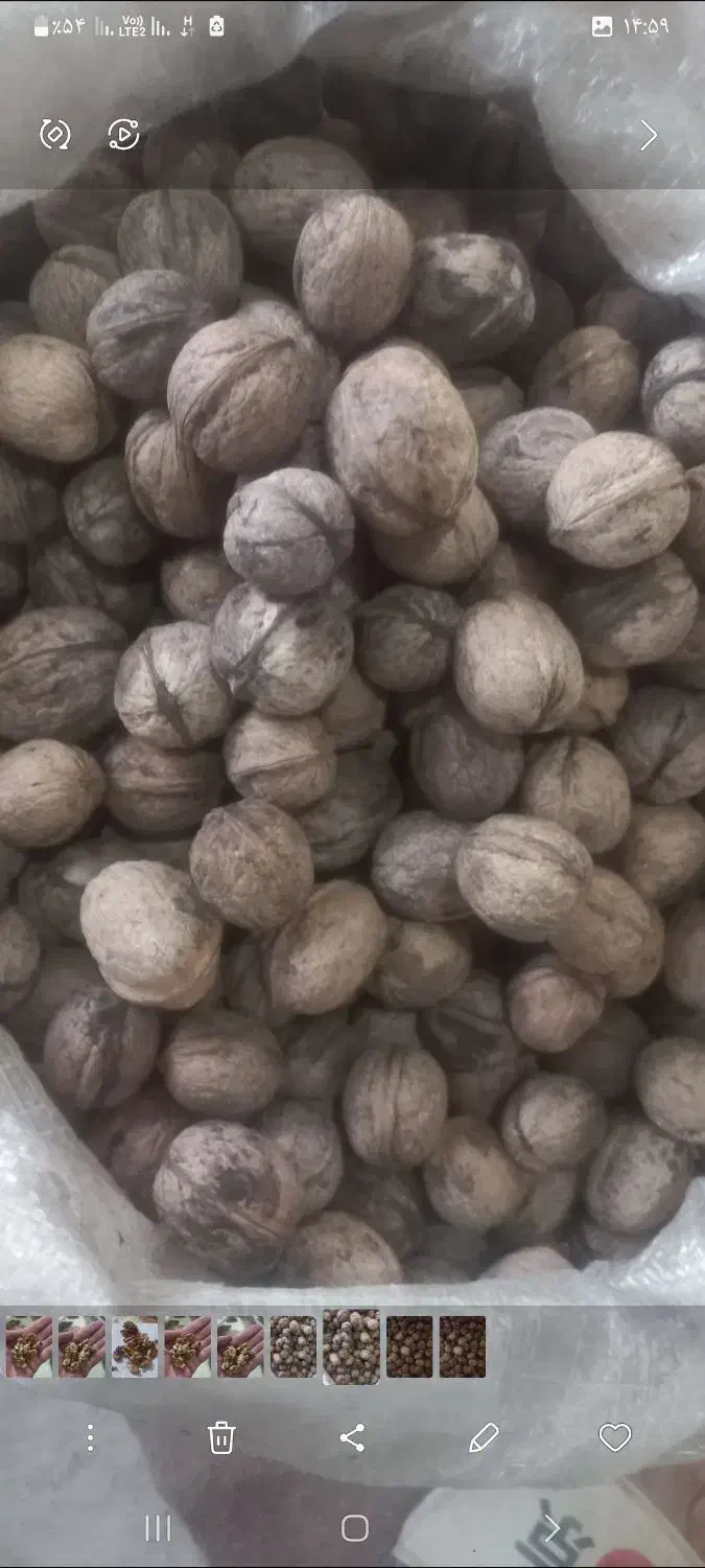 غذا|حراج|پیر سلیمان, |دیوار