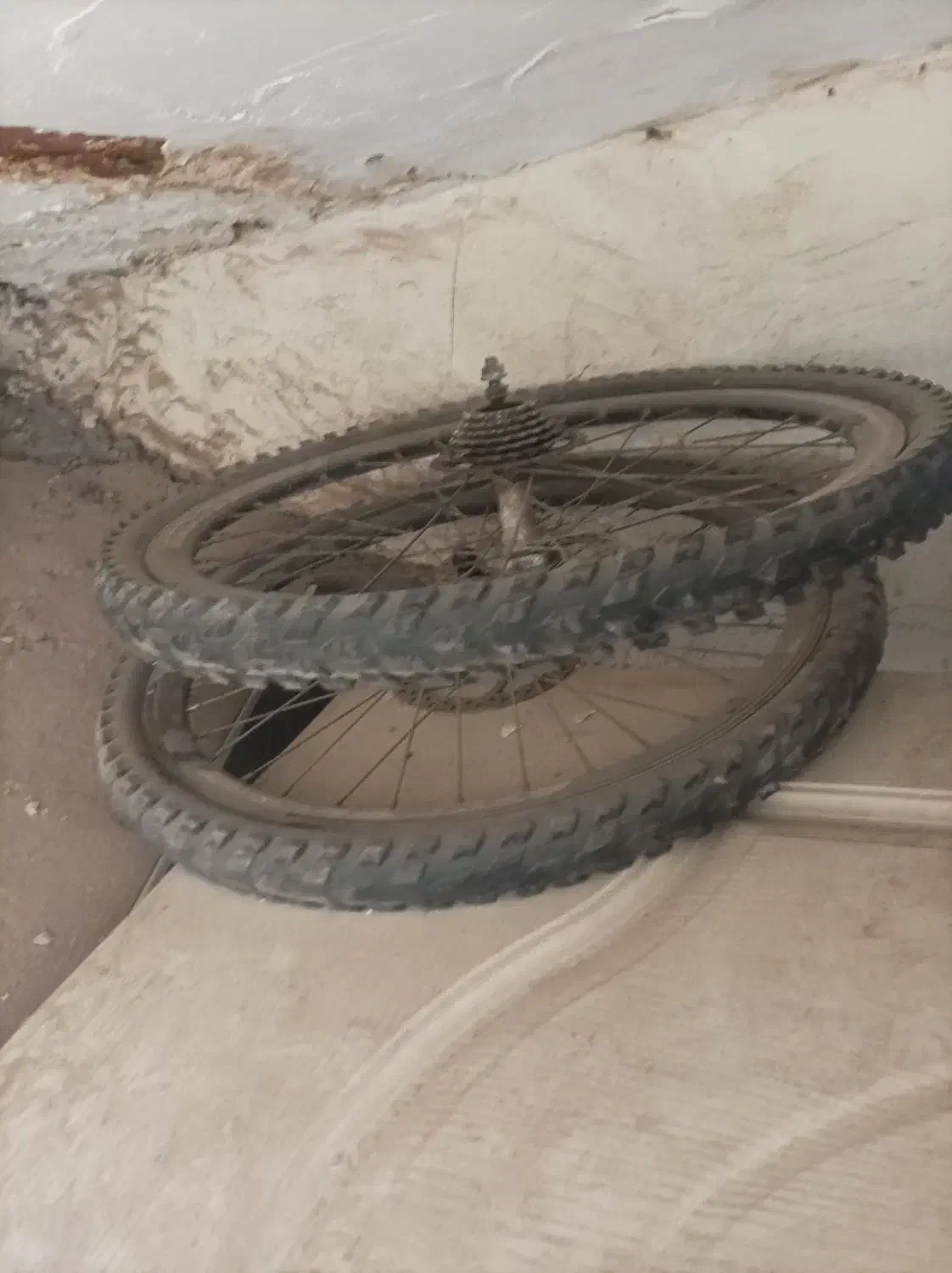 رنک لاستیک چرخ بیس شیی|دوچرخه، اسکیت، اسکوتر|بم, |دیوار