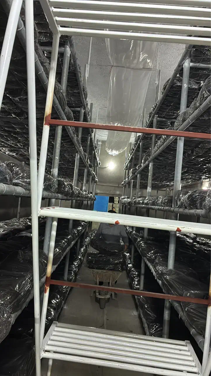 سالن کار پرورش قارچ|استخدام صنعتی، فنی، مهندسی|الشتر, |دیوار