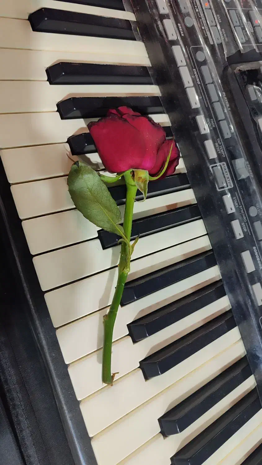 ارکستر مجالس عقد و عروسی...|خدمات پذیرایی، مراسم|قم, نیروگاه|دیوار