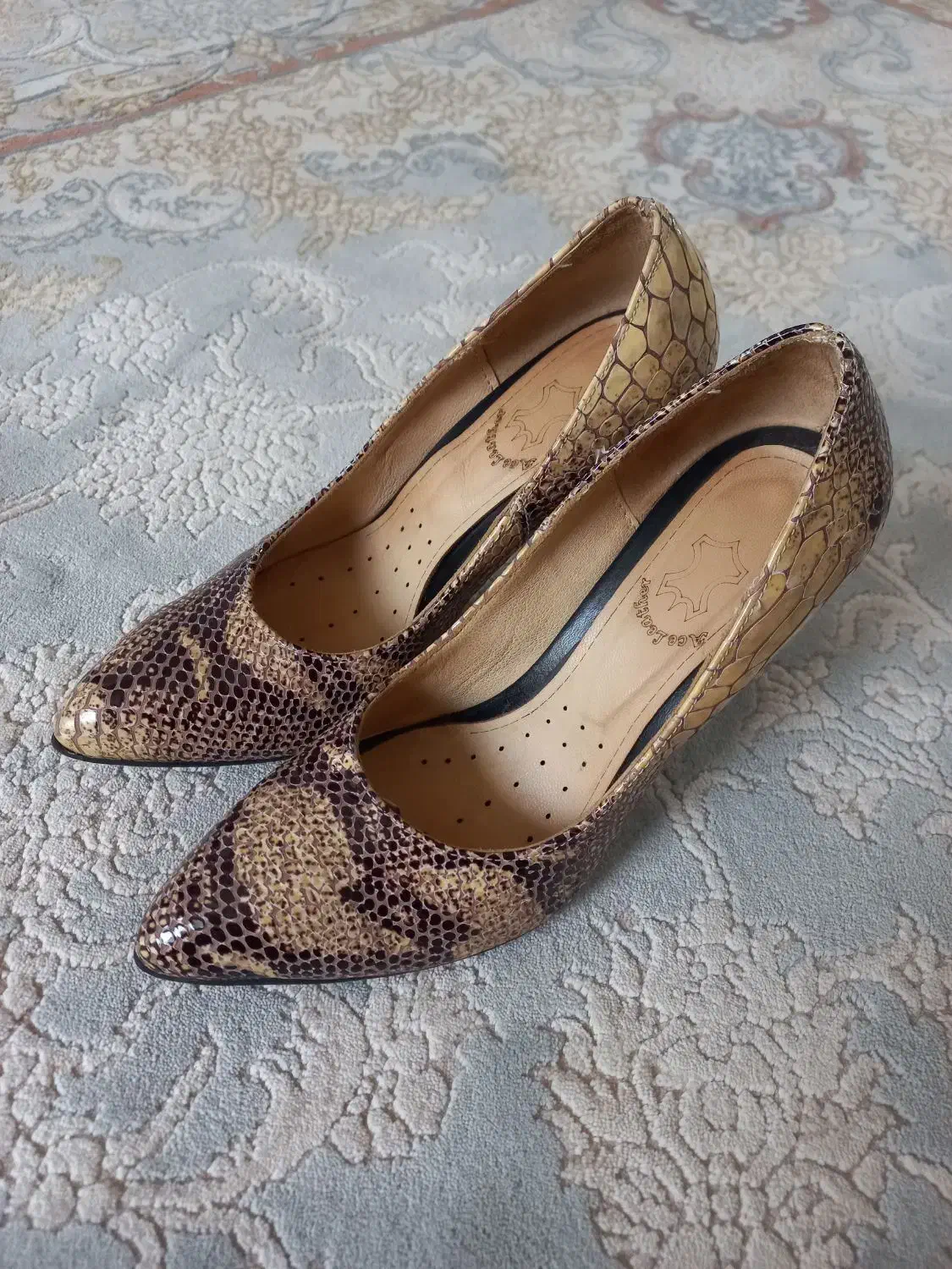 کفش مجلسی|کیف، کفش، کمربند|آق قلا, |دیوار