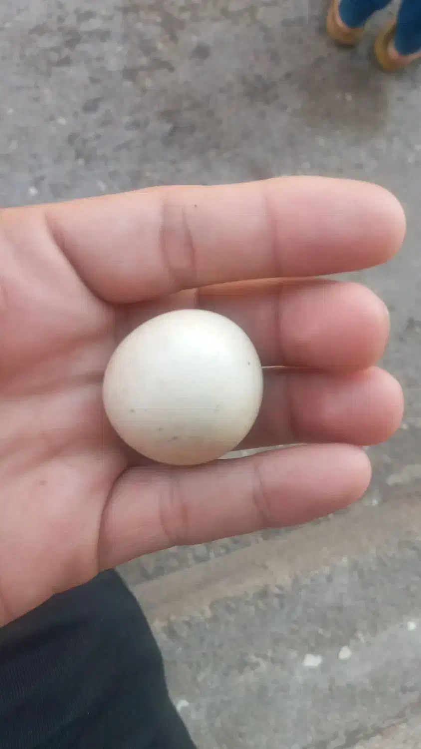 سنگ الماس اسیاب|جواهرات|تهران, شهرک غرب|دیوار