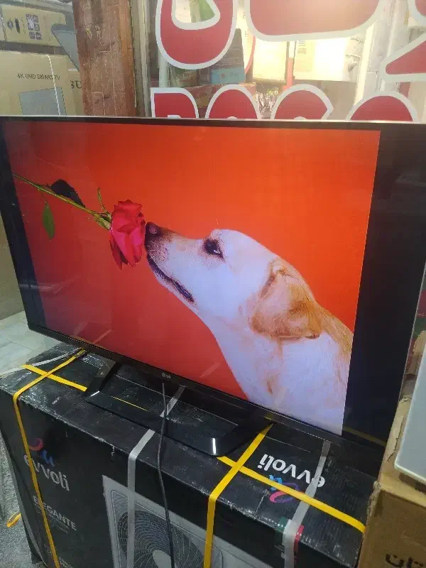 47ال جی اصل|تلویزیون و پروژکتور|همدان, |دیوار