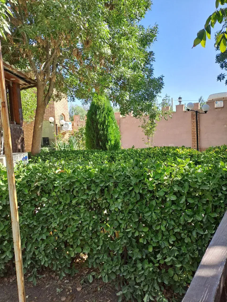 گمشده|اشیا|بروجرد, |دیوار