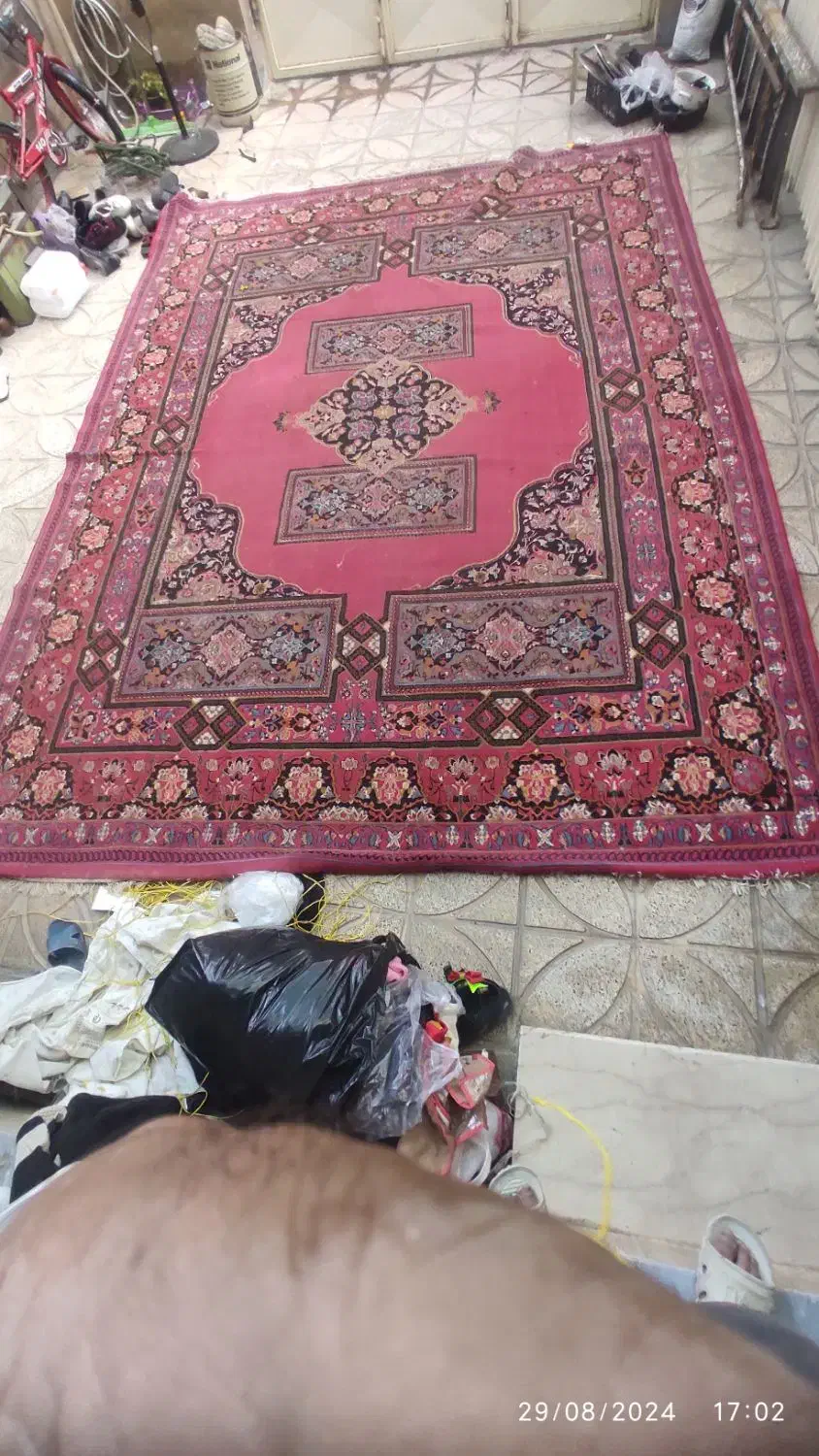 قالی تمیز|فرش|شهرکرد, |دیوار