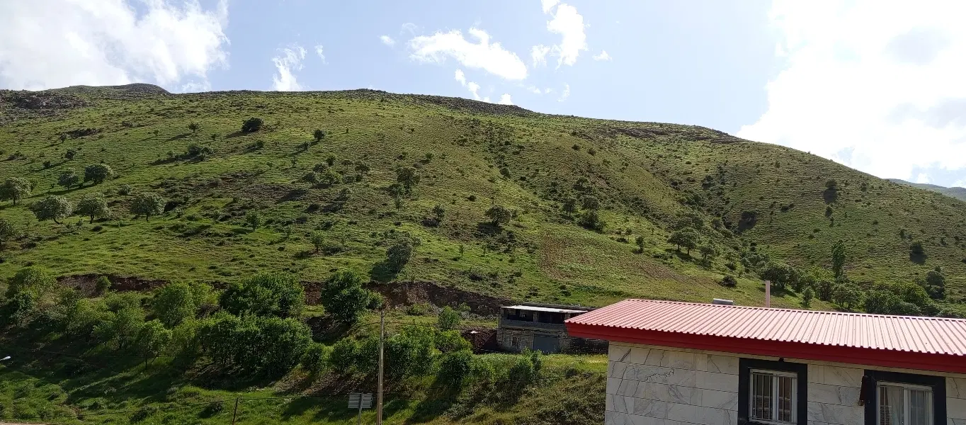 شریک برای دامداری گوسفندی بخونید|استخدام صنعتی، فنی، مهندسی|تهران, خرمشهر|دیوار