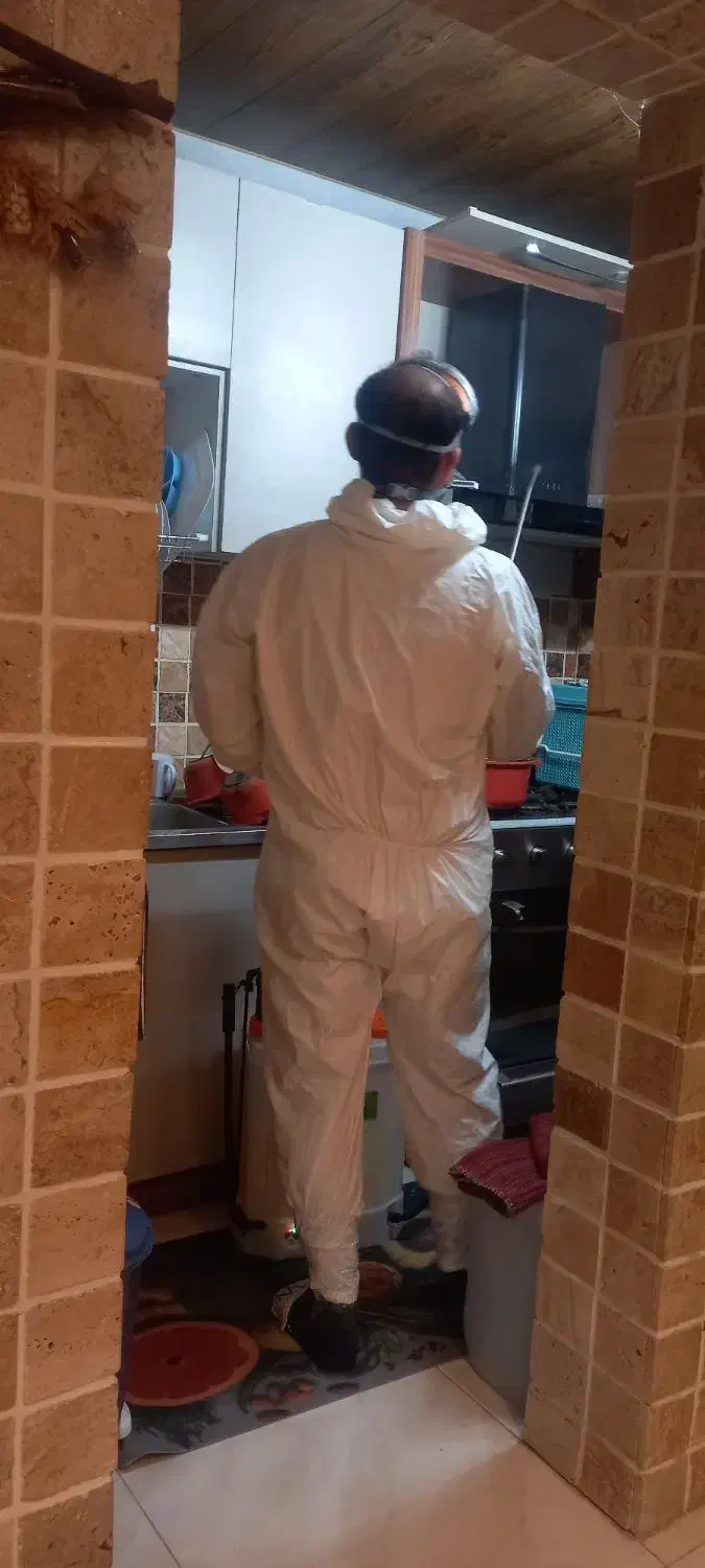 شرکت خدمات سمپاشی دارای مجوز|خدمات نظافت|بهنمیر, |دیوار