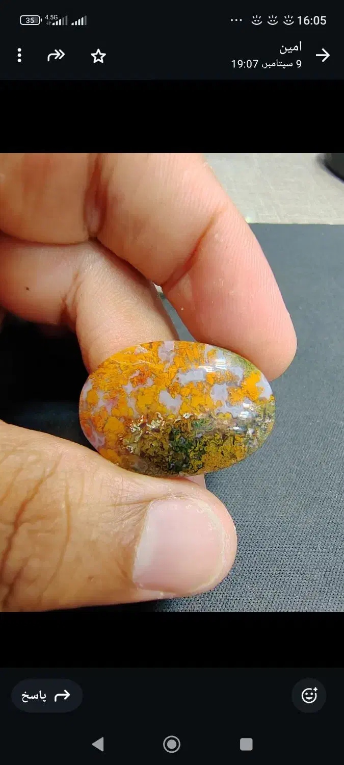 فروش نگین شجر زیبا|بدلیجات|بوشهر, |دیوار