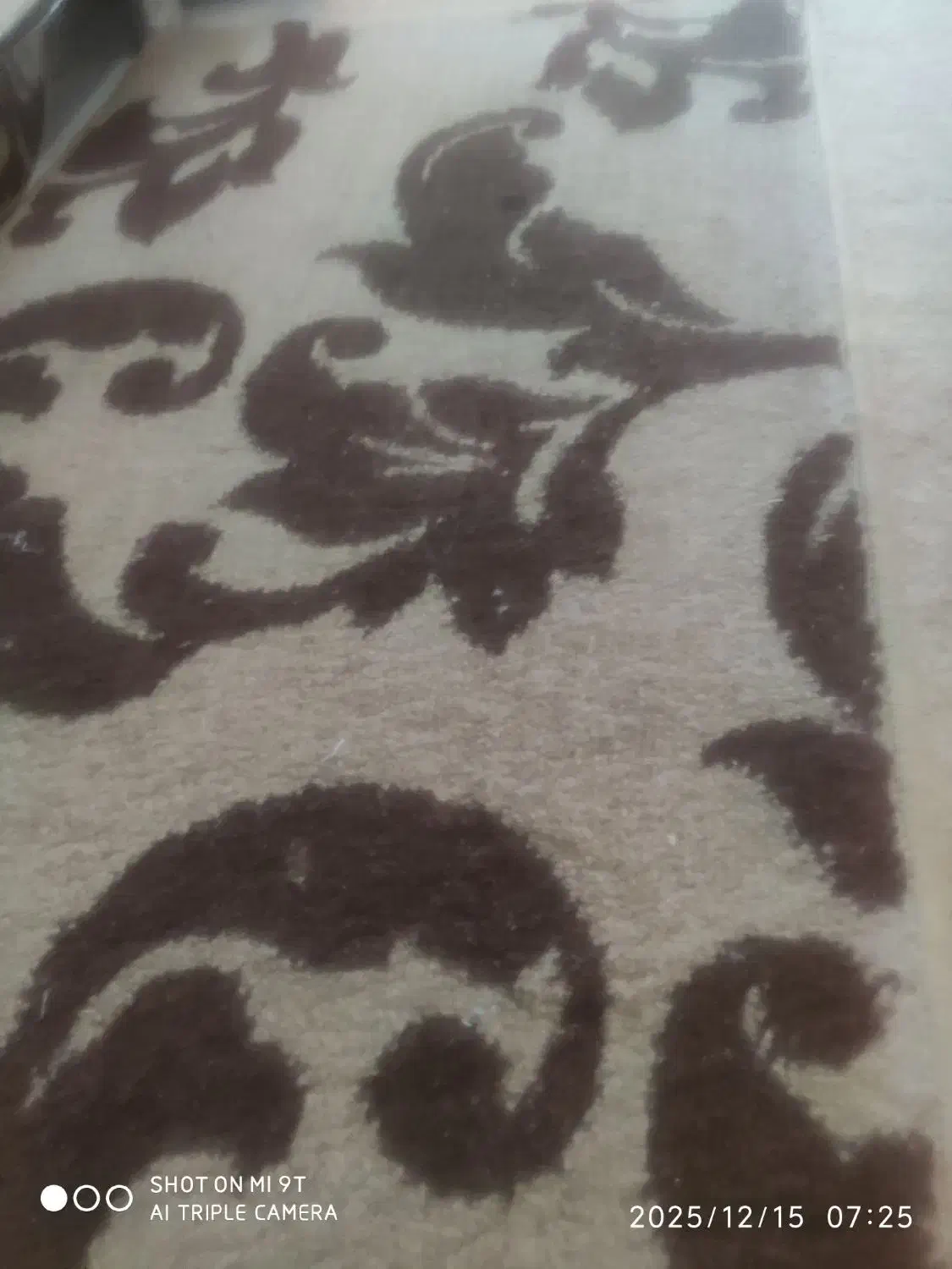 سه عدد پادری|پادری|تهران, شهرک شهید باقری|دیوار