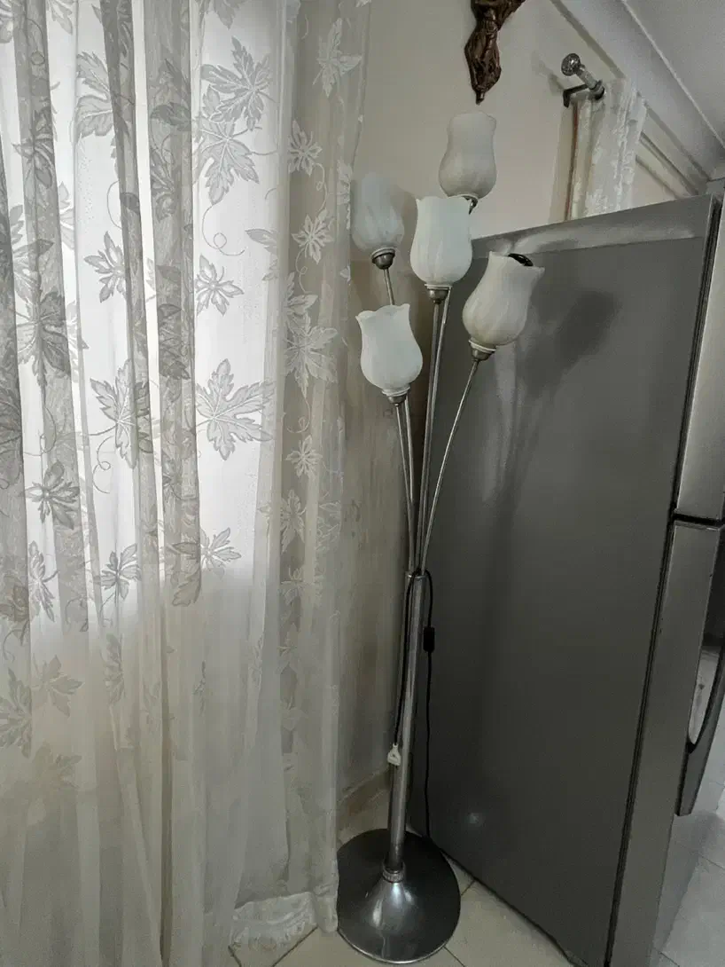 چراغ|چراغ خواب و آباژور|رشت, کوی مهر|دیوار