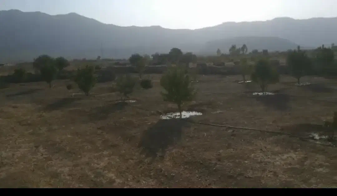 باغ شهری|فروش دفتر صنعتی، کشاورزی، تجاری|فسا, |دیوار