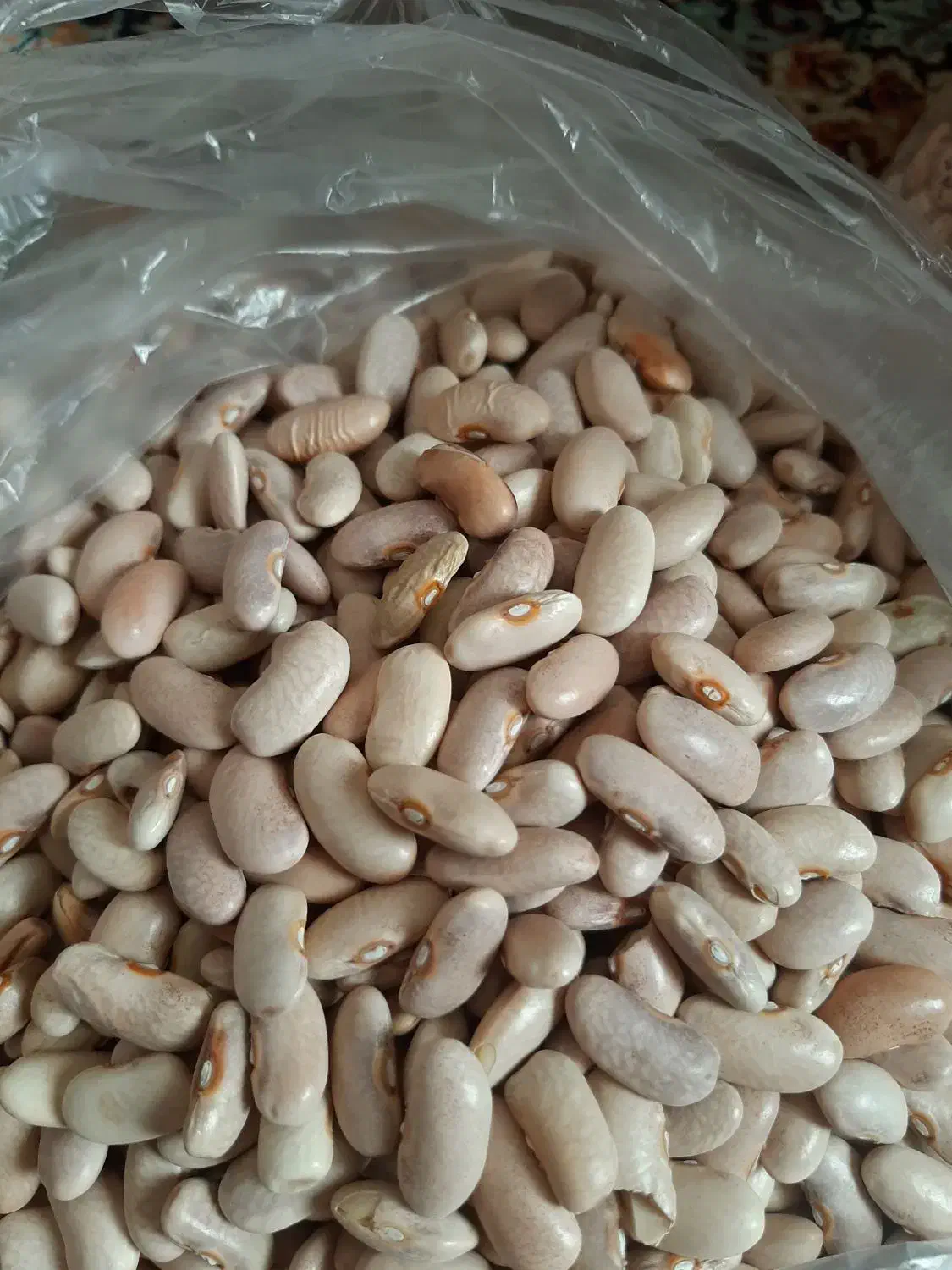 فروش لوبیا چیتی،لوبیا سفید قیمت مناسب ۳۵۰|حراج|قزوین, |دیوار