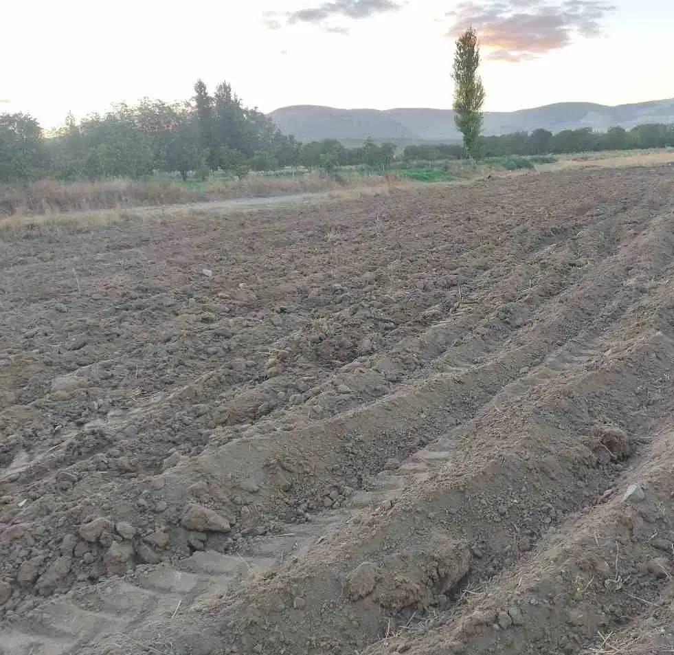 فروش زمین زراعی به متراژ ۳۲۰۰ در کهریز|فروش زمین و ملک کلنگی|قره ضیاالدین, |دیوار