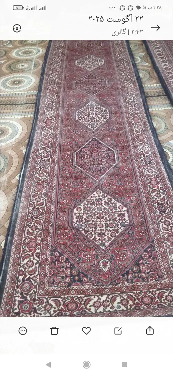 فرش کناره ی دستبافت باختر دو عدد|فرش|زنجان, |دیوار