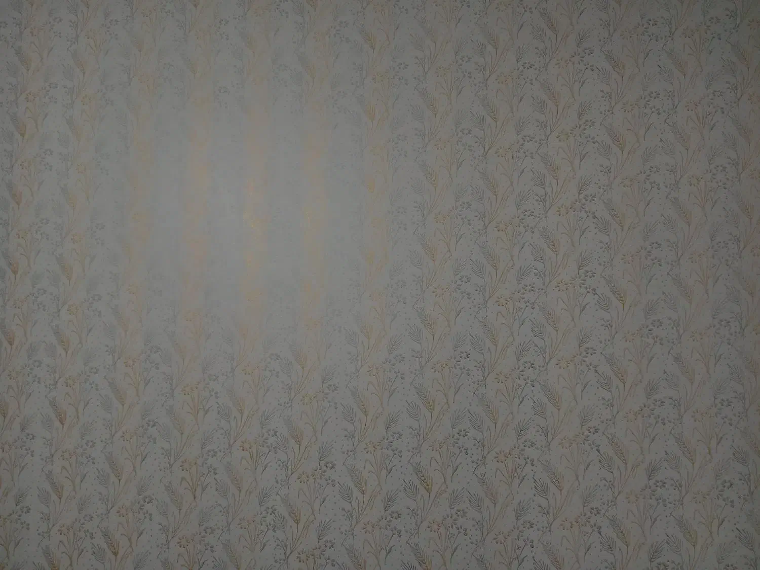 نقاشی طرح کاغذدیواری بارنگ اکلیلی|خدمات پیشه و مهارت|مشکیندشت, |دیوار