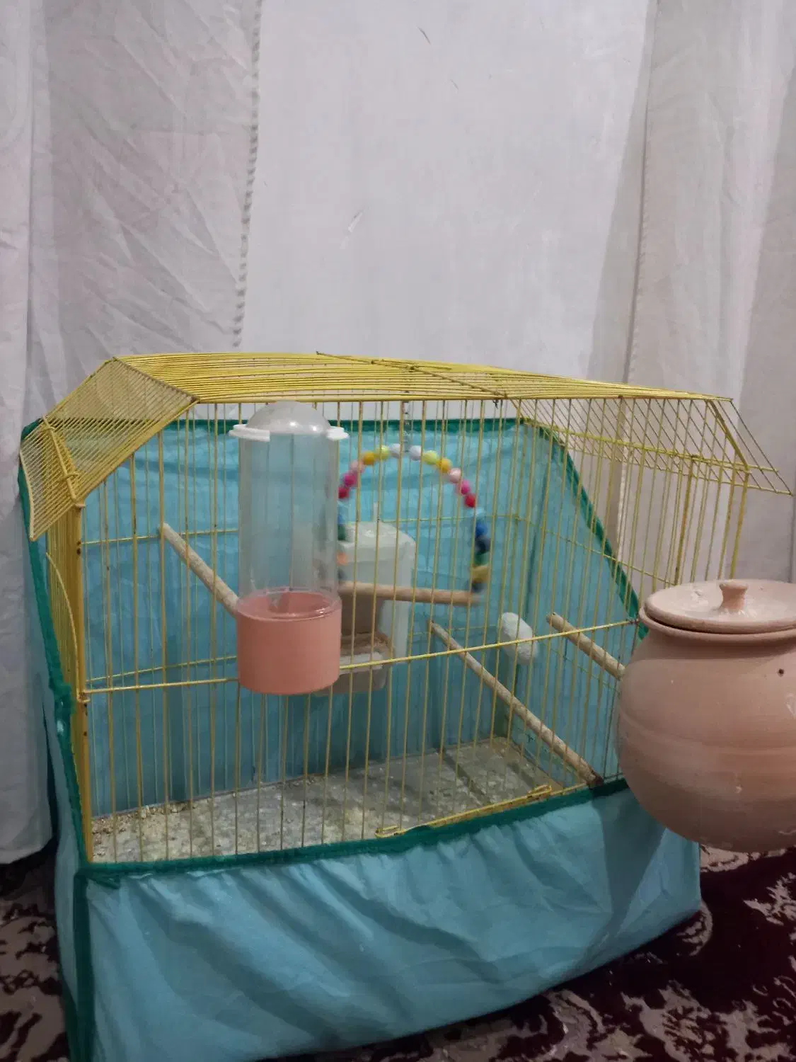 قفس مناسب مرغ‌عشق و عروس هلندی|لوازم جانبی حیوانات|خرمشهر, |دیوار